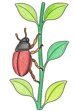 Colored example 3