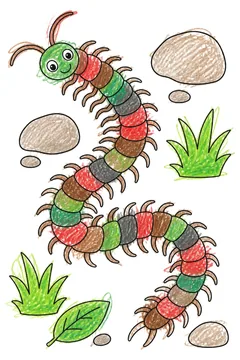 Colored example 1