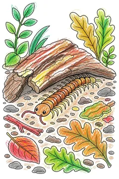 Colored example 1