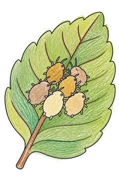 Colored example 2