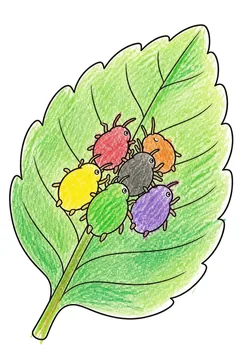 Colored example 3