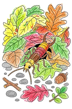 Colored example 1