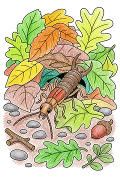 Colored example 3