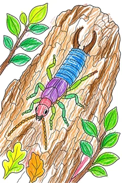 Colored example 1