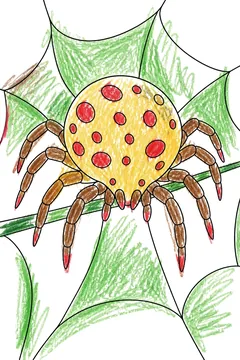 Colored example 1