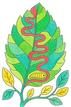 Colored example 3