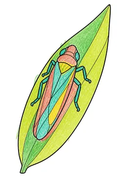 Colored example 2