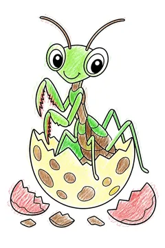 Colored example 1