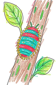 Colored example 1