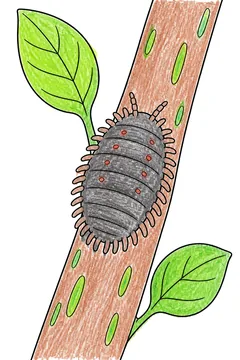 Colored example 3
