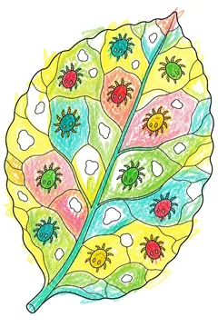 Colored example 1