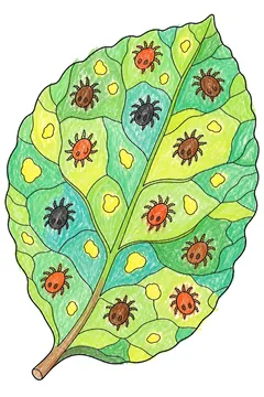 Colored example 2