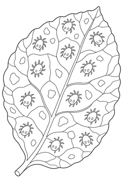 Mite Colony line art
