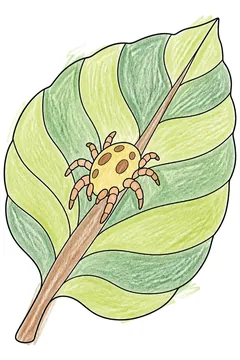 Colored example 2