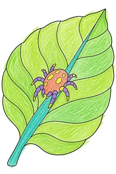 Colored example 3
