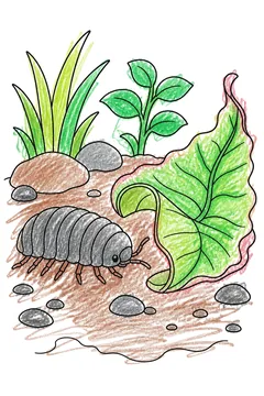 Colored example 1