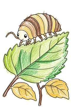 Colored example 1