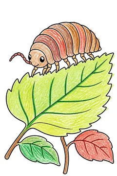 Colored example 3