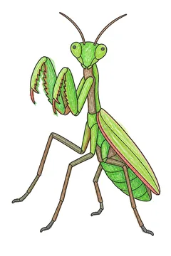 Colored example 2