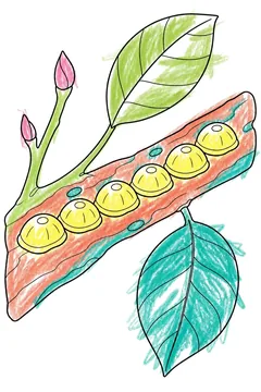 Colored example 1
