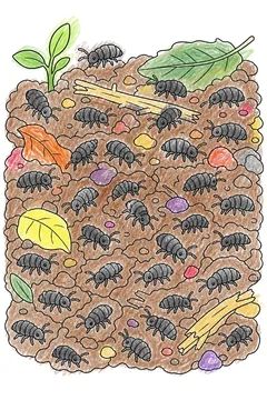 Colored example 1