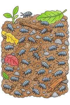 Colored example 3