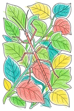 Colored example 1