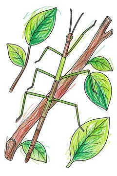 Colored example 1