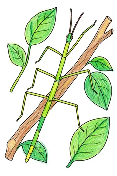 Colored example 3