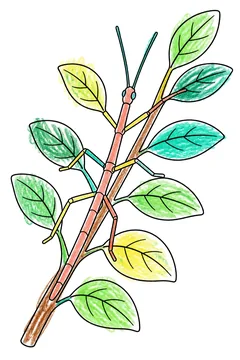 Colored example 1