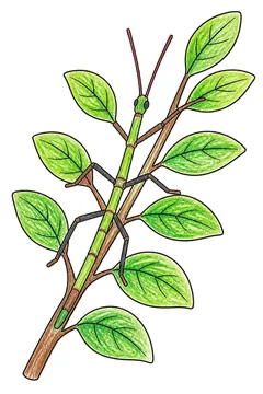 Colored example 3