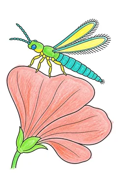 Colored example 2