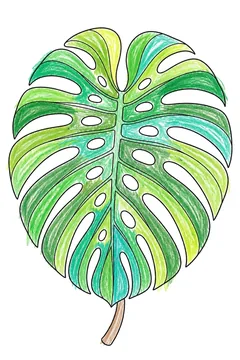 Colored example 2