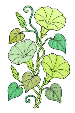 Colored example 2