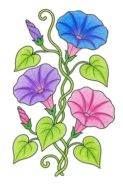Colored example 3