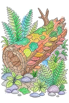Colored example 1