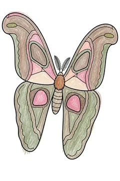 Colored example 3