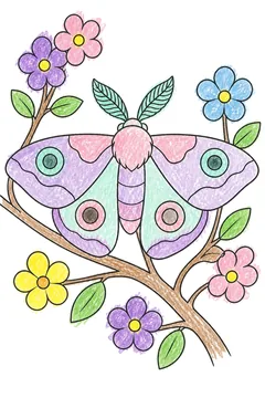 Colored example 1