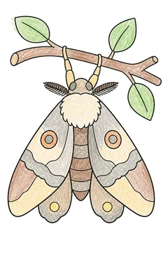 Colored example 3