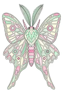 Colored example 2