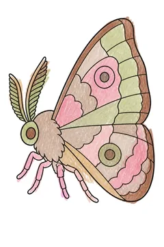 Colored example 2