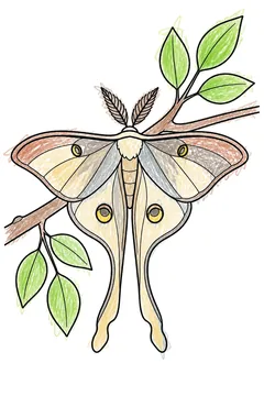 Colored example 1