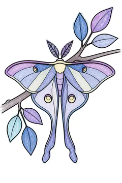 Colored example 3