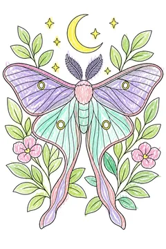 Colored example 1