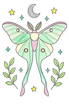 Colored example 1