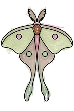 Colored example 2