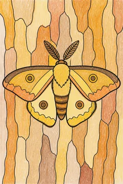 Colored example 2