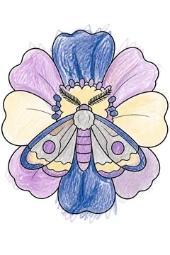Colored example 1