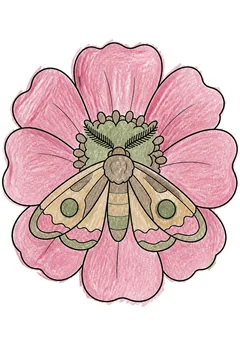 Colored example 2