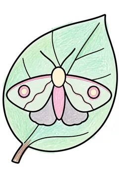 Colored example 3